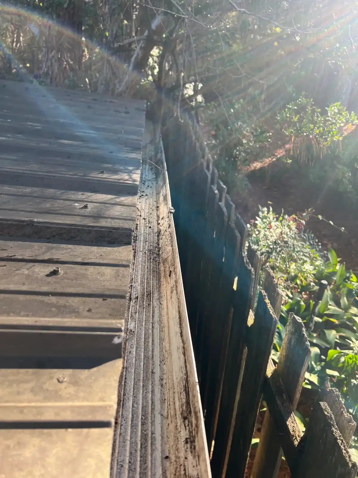 Before & After Photos