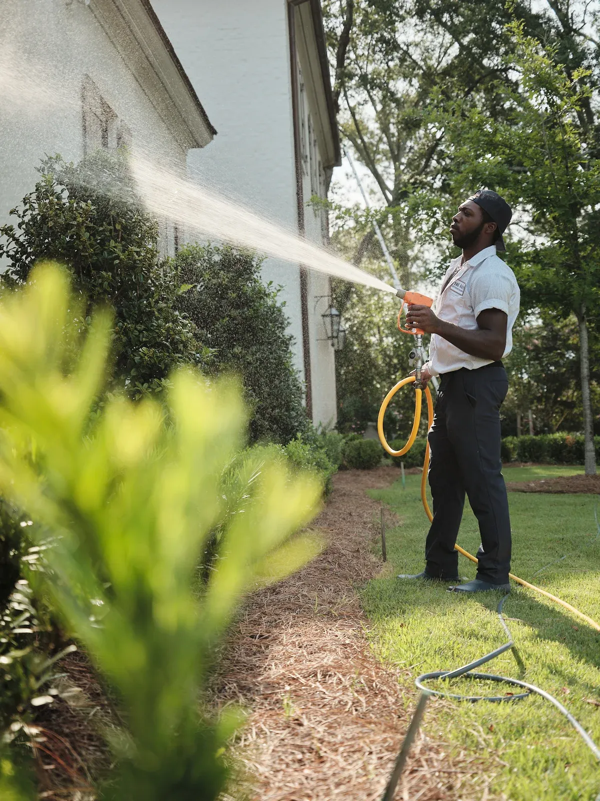 House washing — professional cleaning the outside of a home