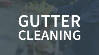 Exteriorcleaningguys Gutter Cleaning
