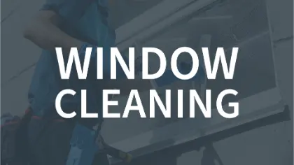 Exteriorcleaningguys Window Cleaning